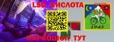 mdma Камышлов
