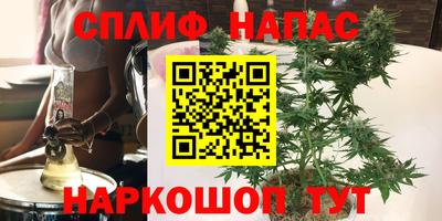 молекула духа Кандалакша