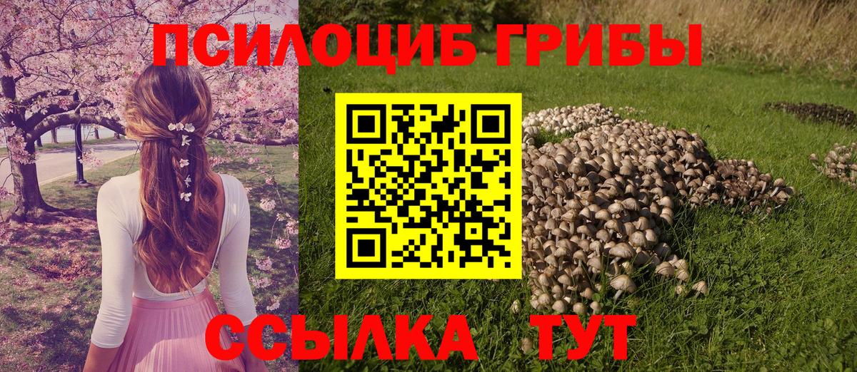 Галлюциногенные грибы Psilocybine cubensis Лангепас